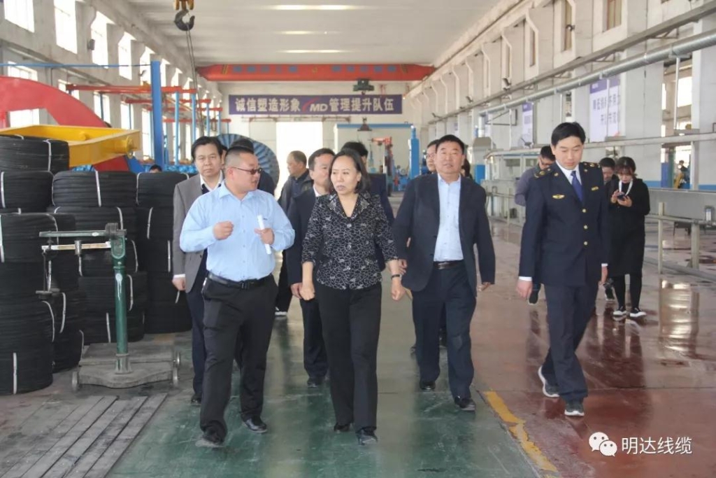 河北省市场监管局党组书记丁锦霞莅临2003网站太阳集团考察调研